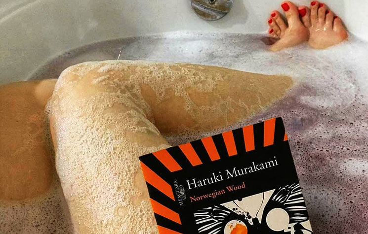 蝶が表紙にデザインされた『ノルウェイの森(Norwegian Wood)』